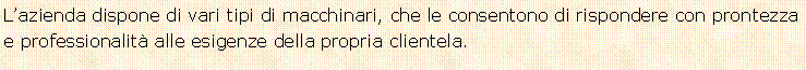 Casella di testo: L�azienda dispone di vari tipi di macchinari, che le consentono di rispondere con prontezza e professionalit� alle esigenze della propria clientela. 